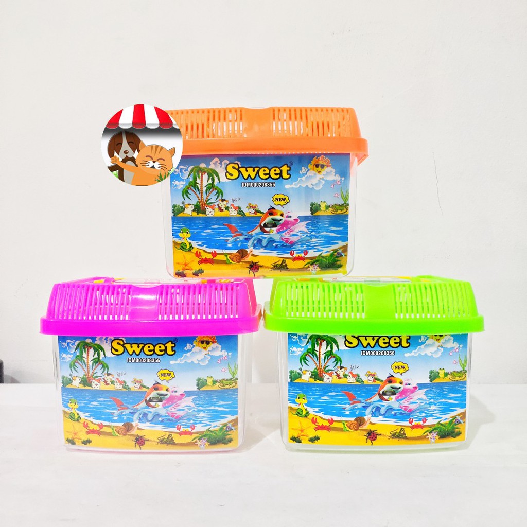 Akuarium Mini Tempat Kura-Kura Terrarium Pet Home