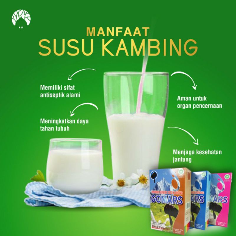 

susu kambing etawa gomars