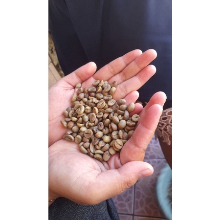 

kopi-in kopi robusta lampung barat