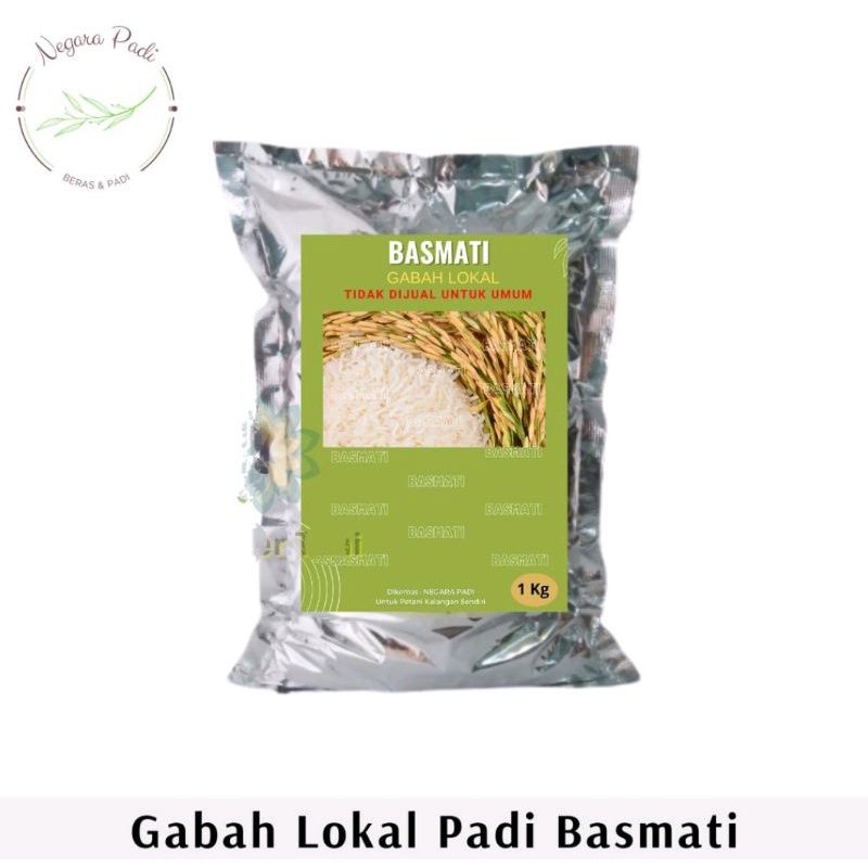 Benih padi basmati bibit gabah lokal