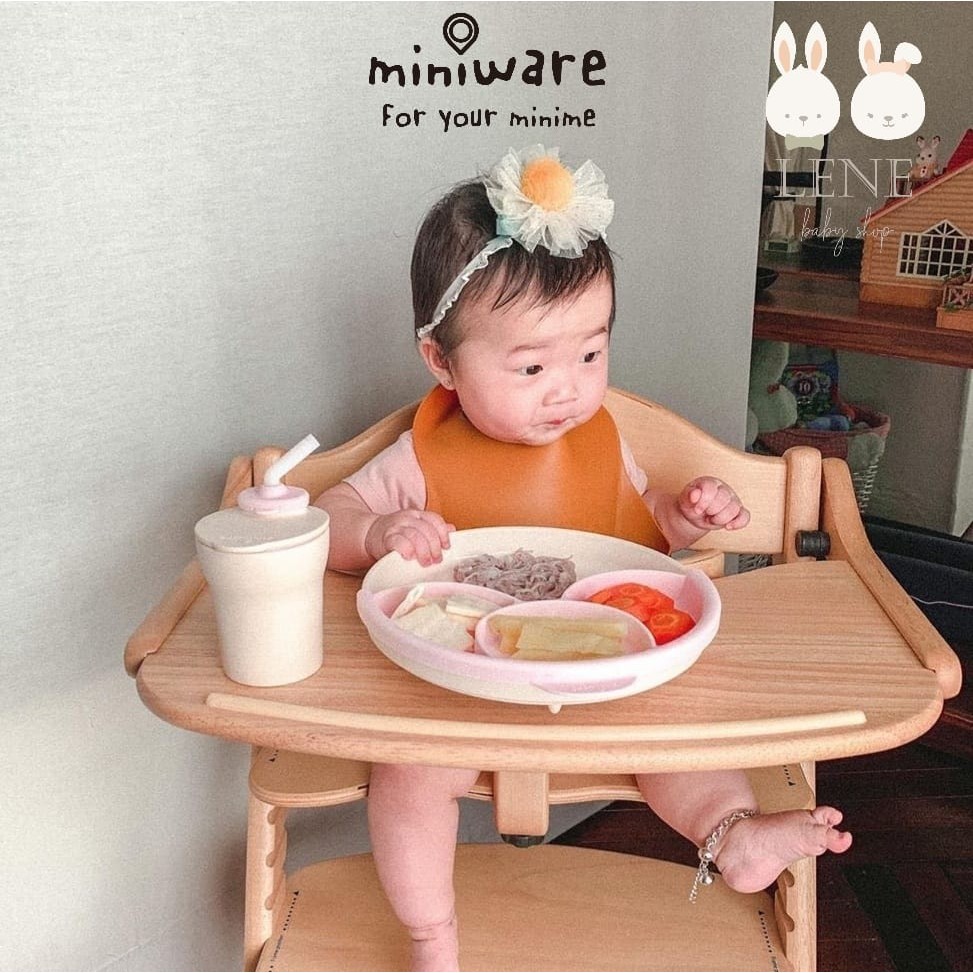 Miniware Healthy Meal Set Piring MPASI Bayi Anak