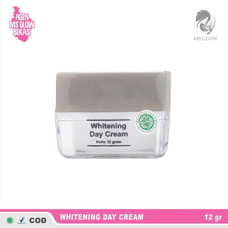 DAY CREAM MS GLOW / SUN GLOW / SUN WHITE