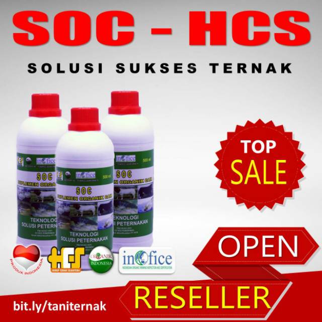 SOC HCS Suplemen Ternak