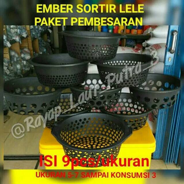 EMBER SORTIR LELE PAKET PEMBESARAN (ISI 9 EMBER)