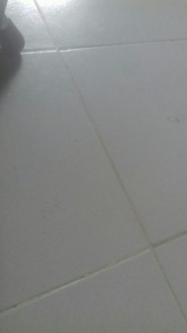 Sprayer 2 Liter Alat Semprot Semprotan Tanaman Hama Alat Mandi Burung