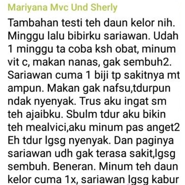 

[HERBAL] TEH DAUN KELOR PREMIUM 100% Organik Teh Kelor Anti-Kanker Diabetes, Tingkatkan Imunitas dan