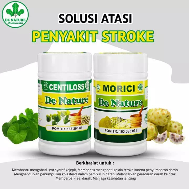 OBAT STROKE DE NATURE CENTILOSS MORICI ASLI HERBAL