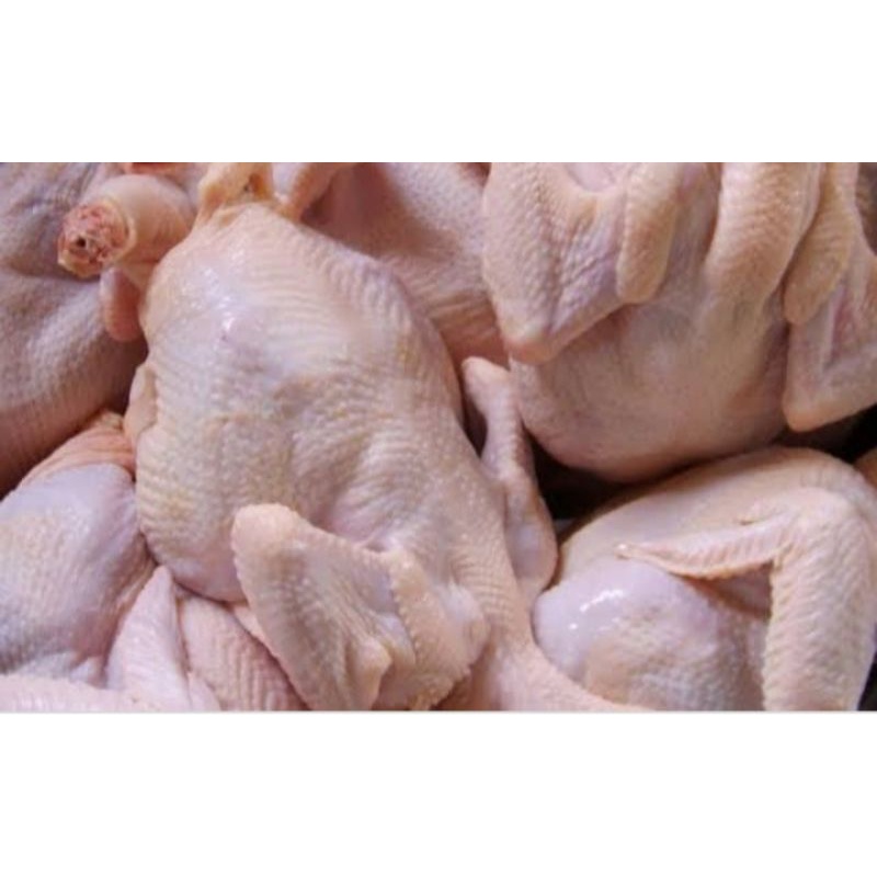 

ayam potong segar 1kg