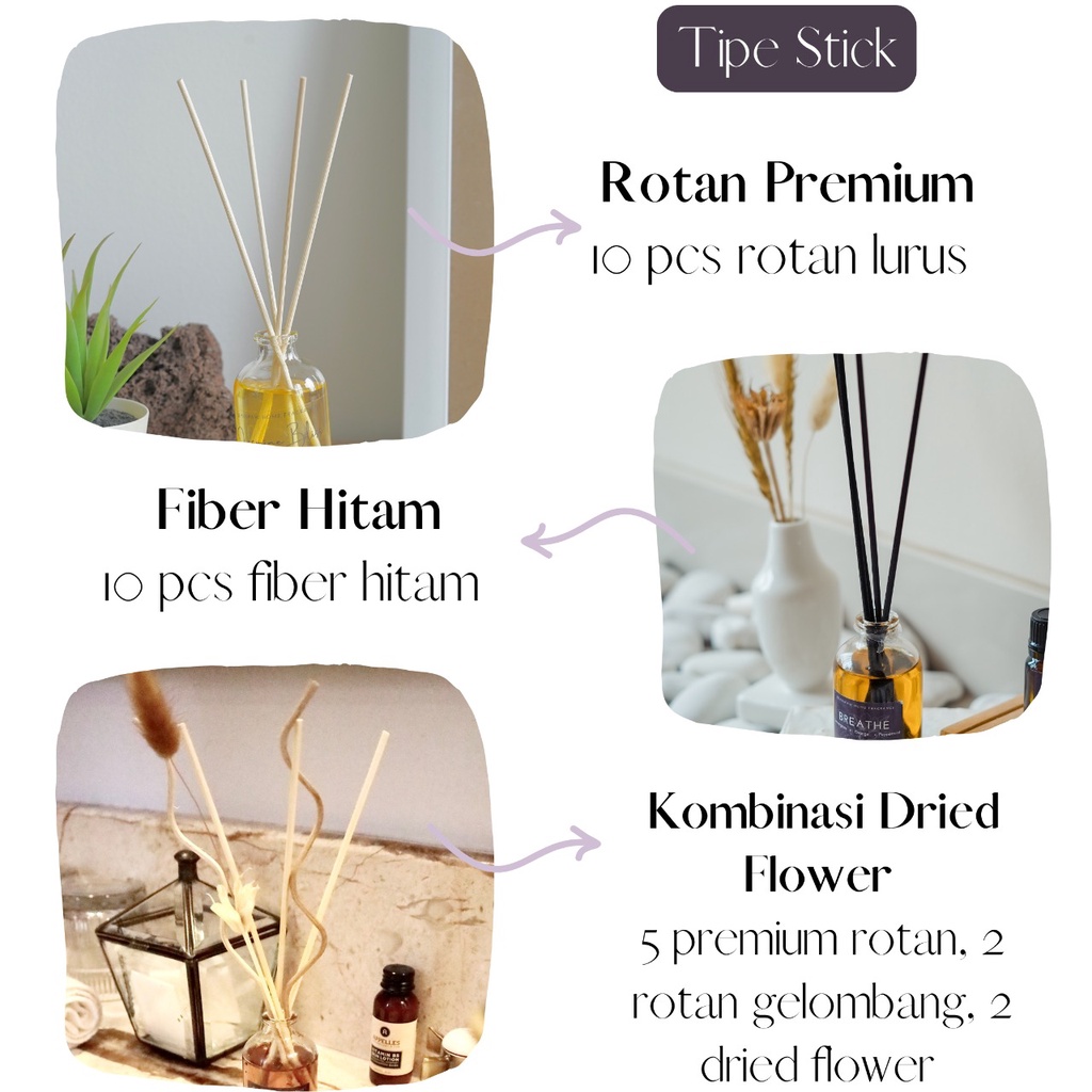 Bearspaw Fine Fragrance Reed Diffuser 50ml Pengharum Pewangi Ruangan Free Stick Rotan Fiber Dried Flower-1