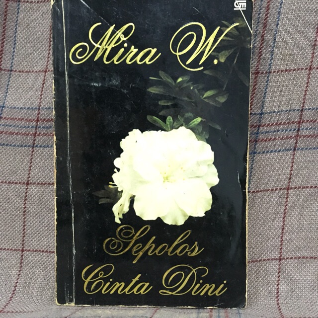 Sepolos Cinta Dini karya Mira W