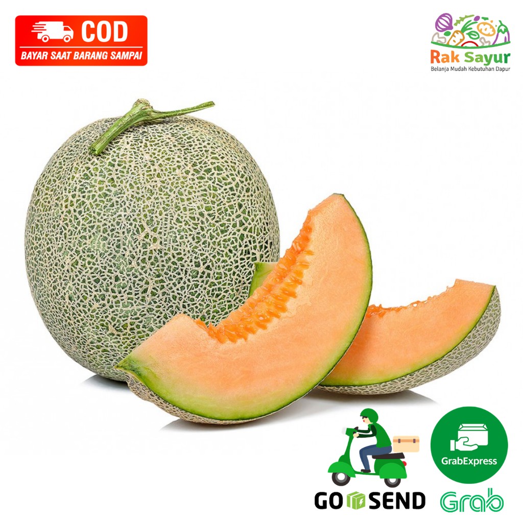 

Buah Melon Orange Segar Rock Melon 1 buah Pcs Buah Fresh Rak Sayur Padang