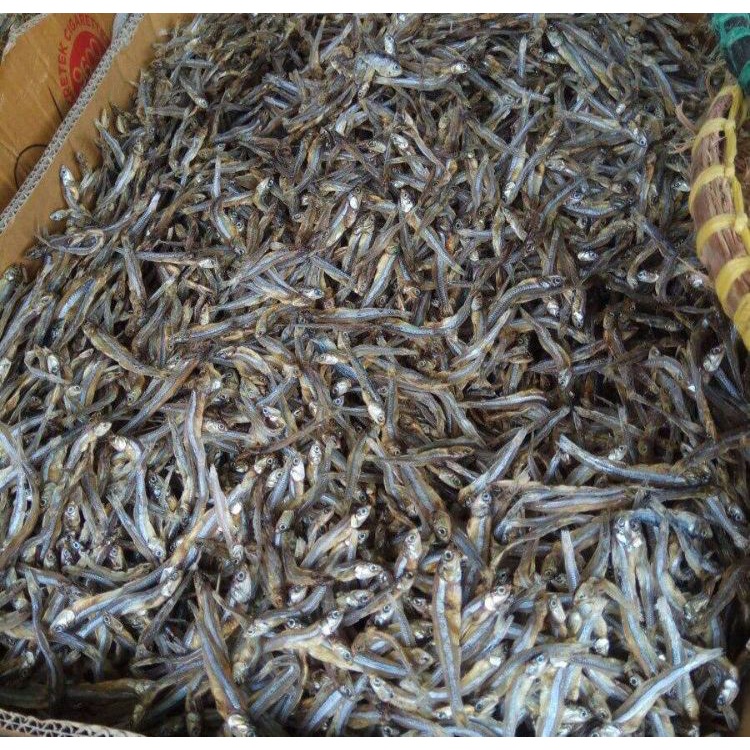 

Ikan Teri Kering Tawar 250gr / 500gr 1kg