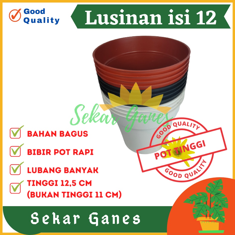 Sekarganes Lusinan 12PCS Pot Tinggi Srondol 15 Putih Hitam Merah BataTerracota Terracotta Merah Coklat - Pot Tinggi Usa Eiffel Effiel 18 20 25 Pot Tinggi Tirus 15 18 20 30 35 40 50 Cm Pot Bunga Plastik Lusinan Pot Tanaman Pot Bibit Besar Mini Kecil