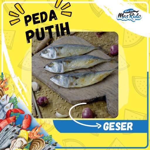 

[COD] Peda Putih Harga Ekonomis Termurah [COD]