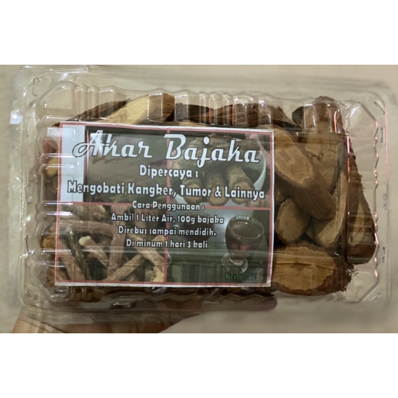 kayu akar bajaka/bajakah