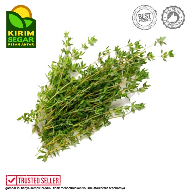 

Daun Thyme Segar / Fresh Thyme / Thyme Utuh / Pack