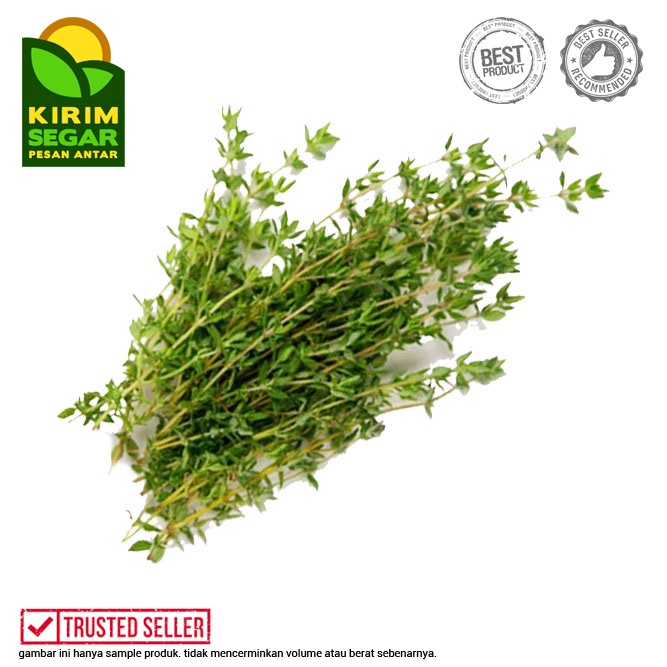 Daun Thyme Segar / Fresh Thyme / Thyme Utuh / Pack