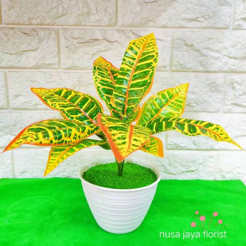 Aglonema plastik rangkain bunga shabby