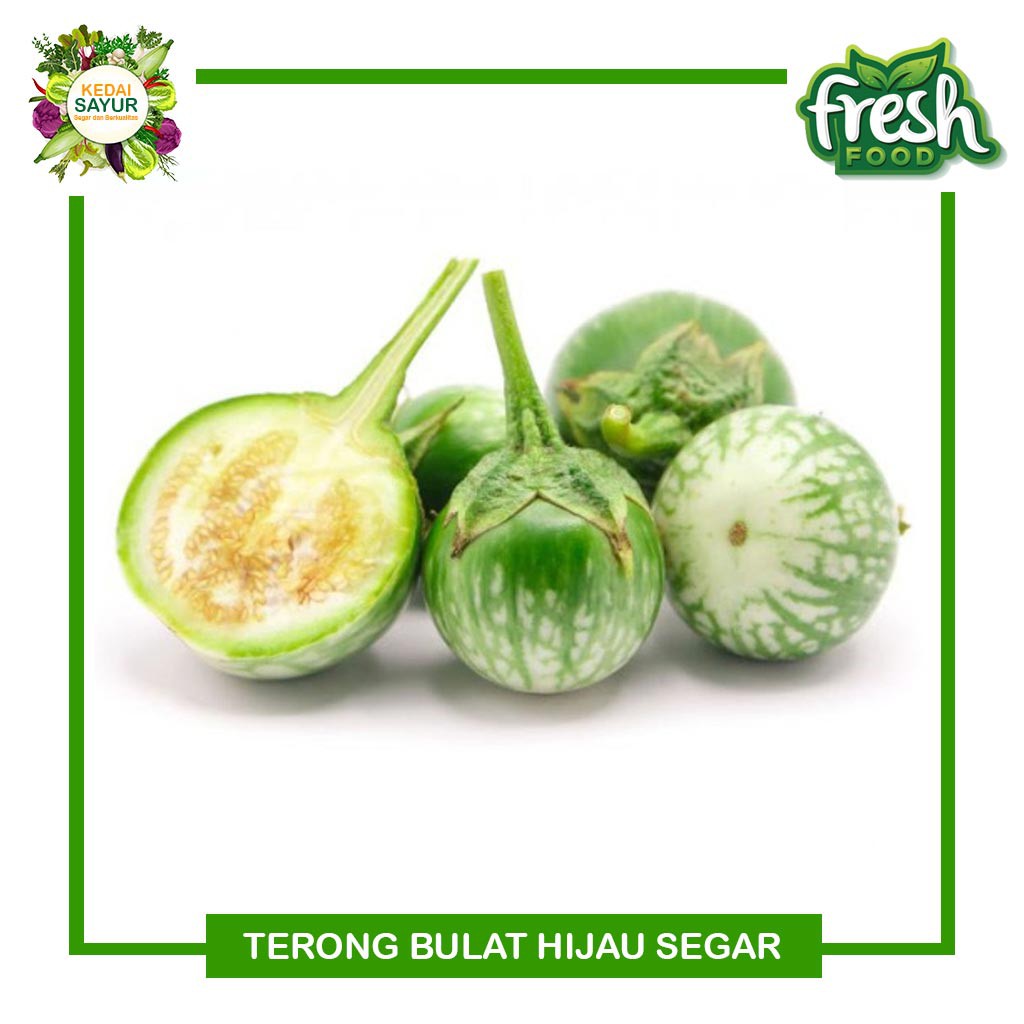 

Terong Bulat Hijau / Terong Bulat Hijau Lalap 250 Gram - Gerai Sayur Segar Depok