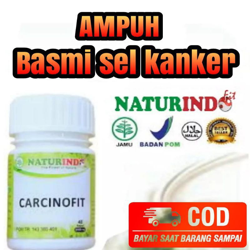 obat kanker payudara kanker otak tanpa operasi CARCINOFIT naturindo