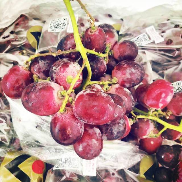 

Anggur merah peru jumbo 65 rb 900 gram