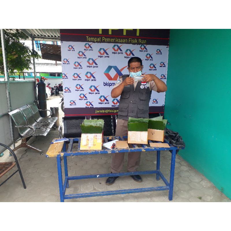 

karantina ikan dan packing styrofoam