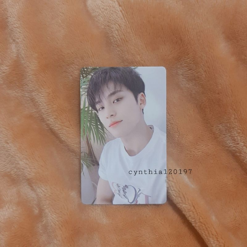 Seventeen Mingyu Photocard PC Your Choice Interpark/Apple Music