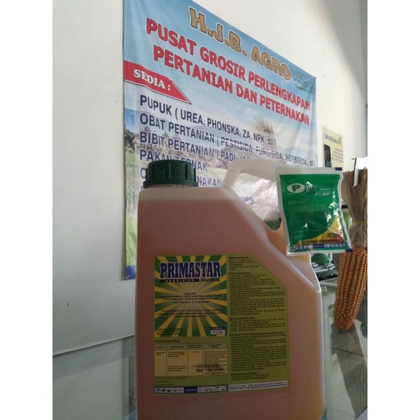 HERBISIDA PRIMASTAR 300/100 SL 5 LITER (Gratis Grandally 25 WP kemasan 25 gram)