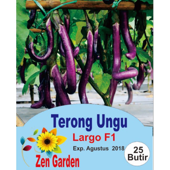 Benih Biji BibitTerong Ungu Largo