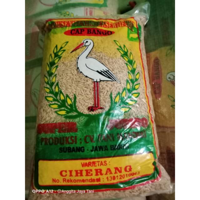 Bibit padi ciherang jumbo