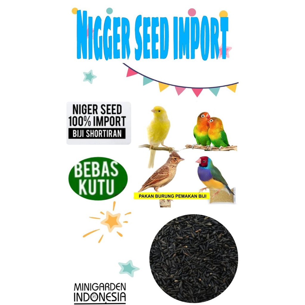 PAKAN BURUNG NIGER SEED IMPORT PREMIUM biji niger hitam makanan burung kenari finch bebas kutu