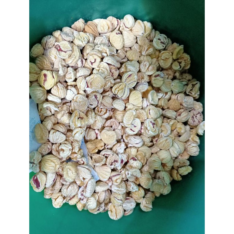 

Chesnuts / Kacang Kastanye / Kacang Berangan / Kaulak / Lakci Cui / Lakcee / Chest Nuts / Lak ci / Kau Lak