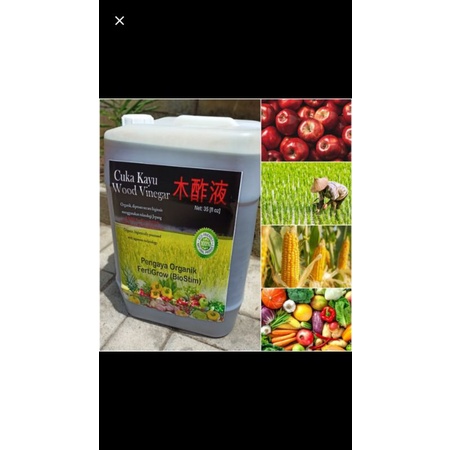 wood vinegar cuka kayu pupuk, nutrisi dan anti hama 20liter