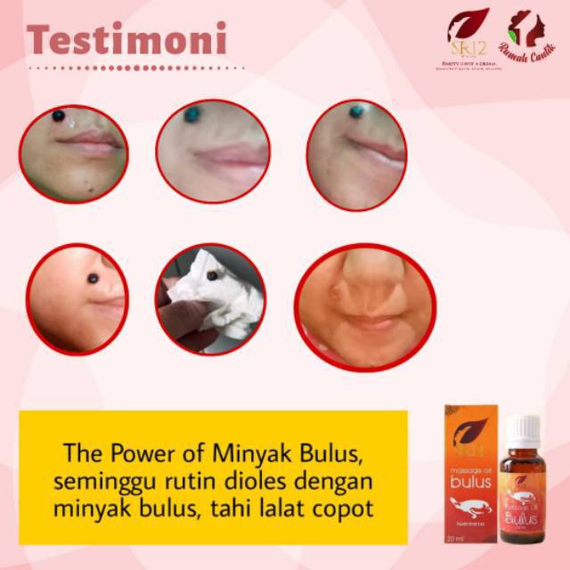 Massage Oil Bulus SR12 / Minyak Bulus Herbal /minyak bulus sr12/mengencangkan payudara/glowing