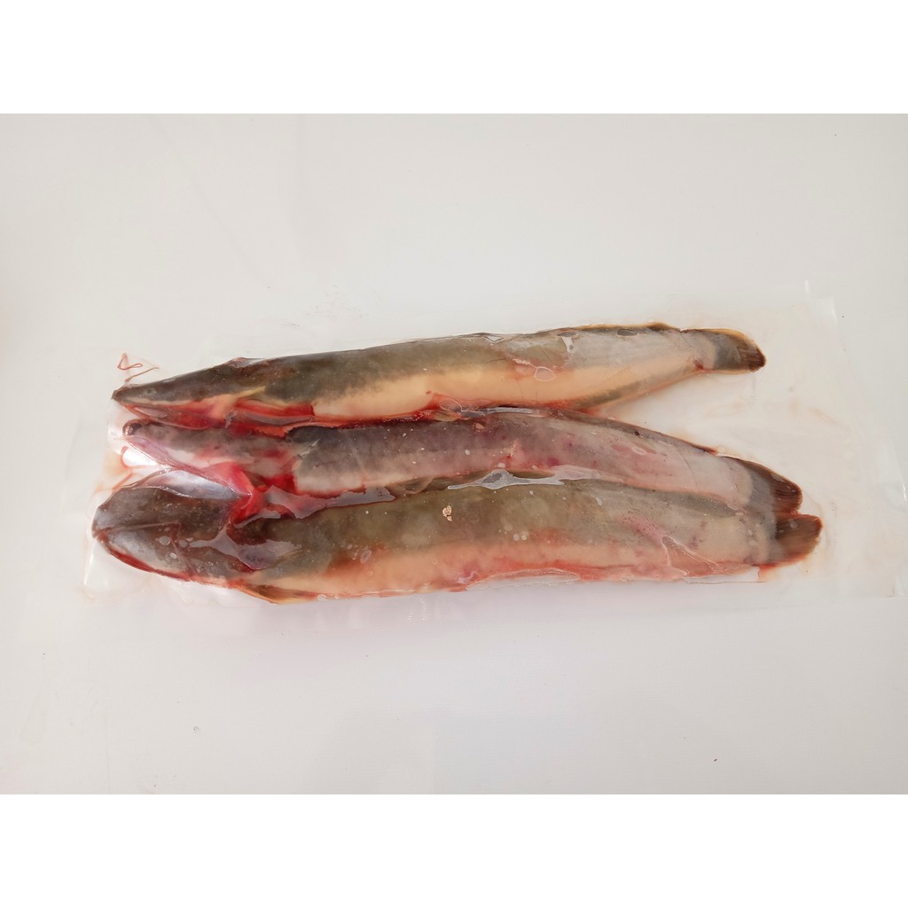 

IKAN LELE HIDUP MATI SETELAH DIORDER BERSIH SIAP MASAK