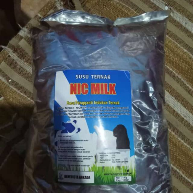 

Susu kambing pengganti asi ternak