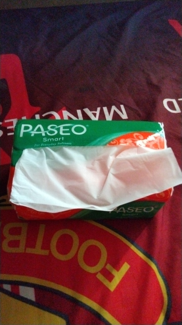 Tisue  Paseo 250 Ply