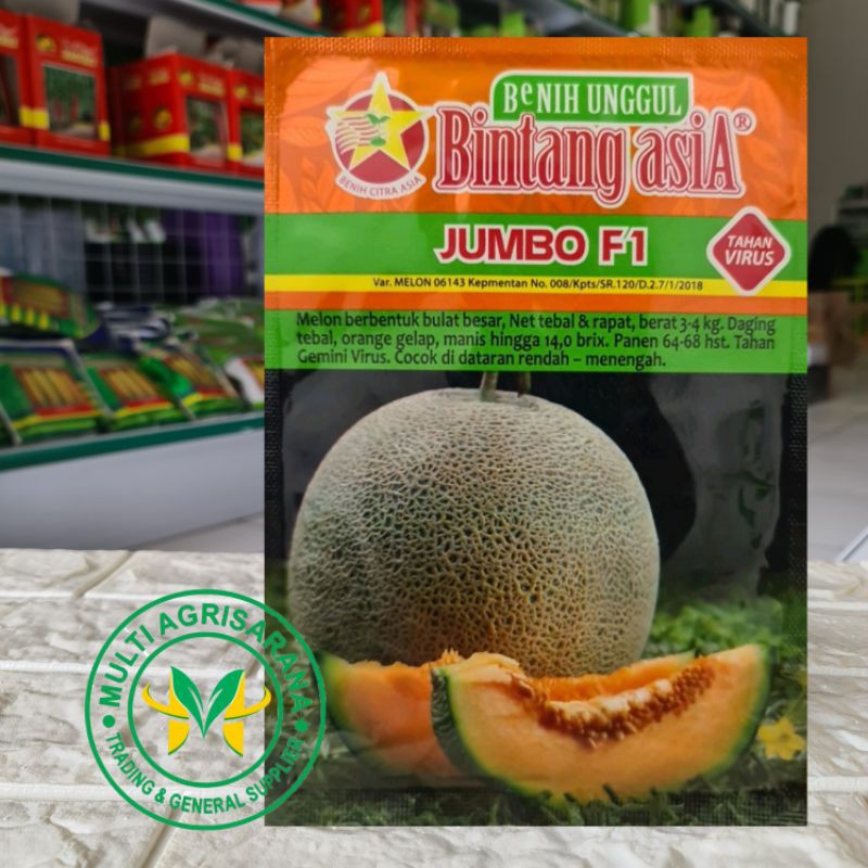 Isi 20gr Benih bibit Melon kuning orange JUMBO F1