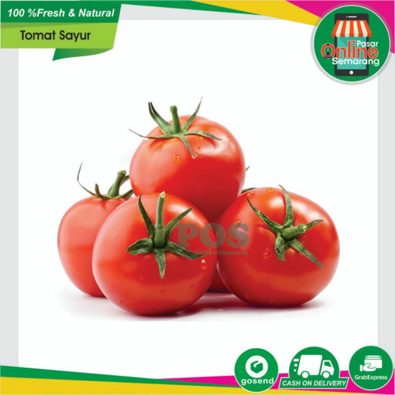 

Sayur Tomat / Sayuran Tomat / Buah Tomat / Tomato Fresh / Segar / Makanan Sehat/Sayur Murah Semarang