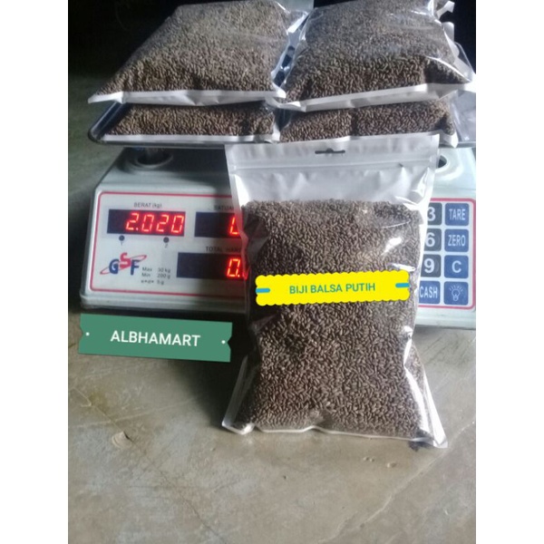 Jual Biji Benih Kayu Balsa Putih Super Termurah G Shopee Indonesia