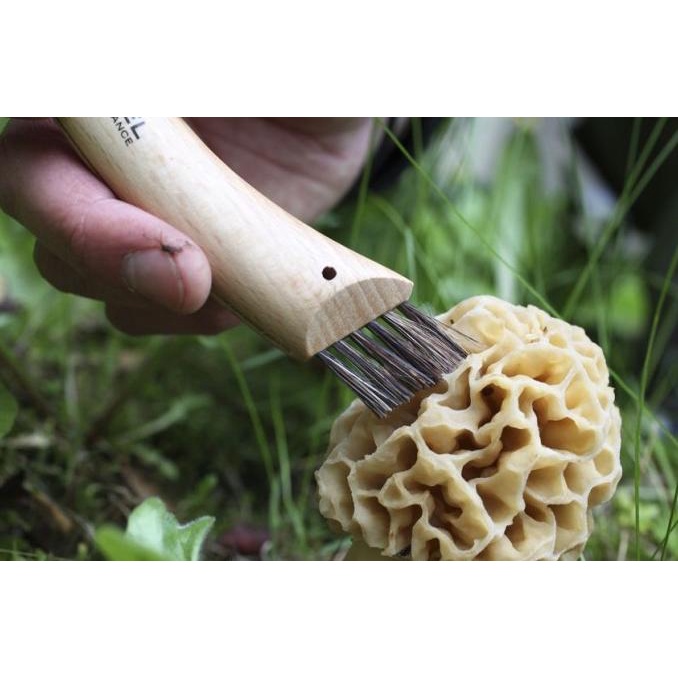 

Opinel N08 Mushroom Knife - No.08 Champignons