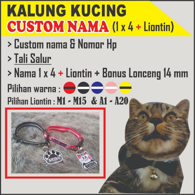 kalung kucing custom nama pemilik &amp; hewan