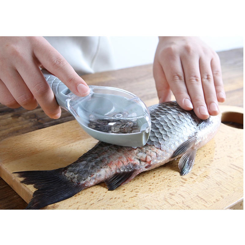 Alat dapur rumah tangga dengan penutup ketam sisik ikan, pengikis sisik sisik ikan dapur, artefak sisik ikan manual, pengikis peralatan dapur sisik ikan