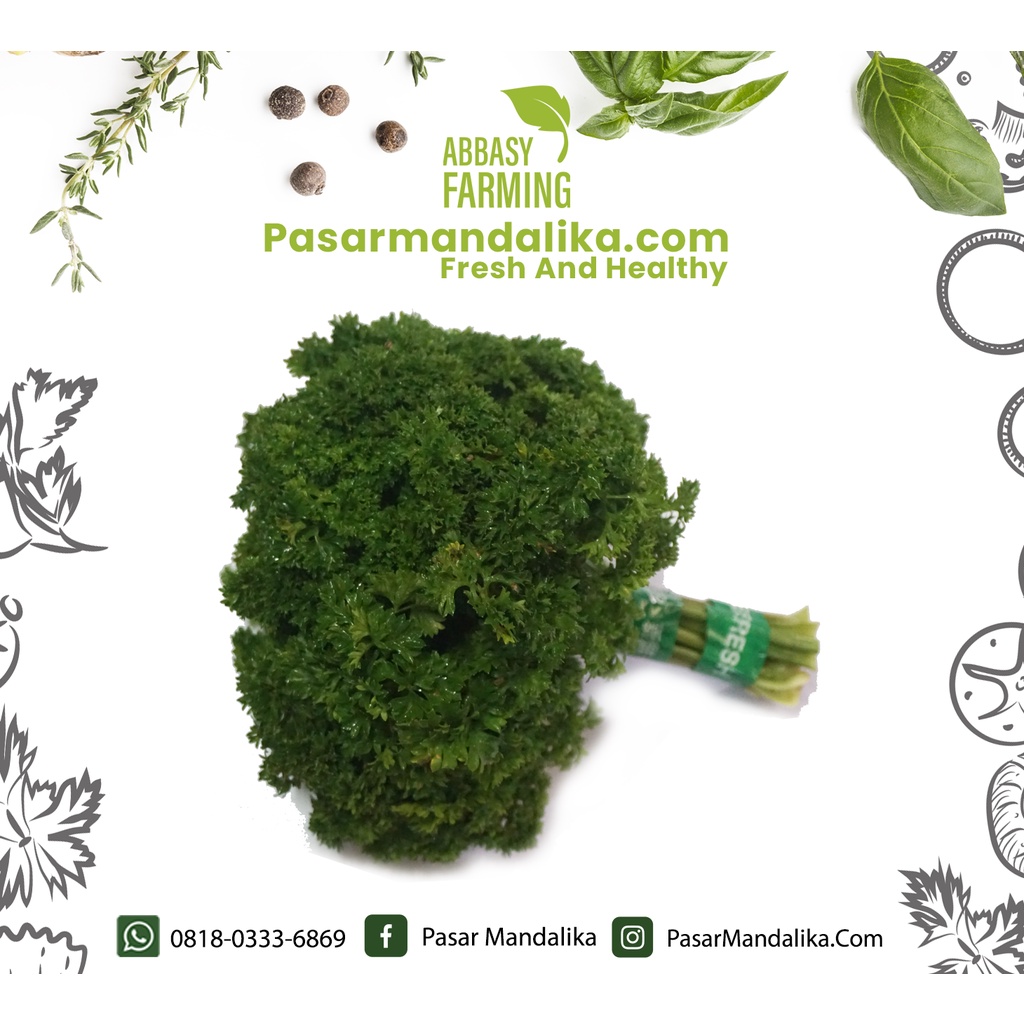 

Parsley Pasar Mandalika