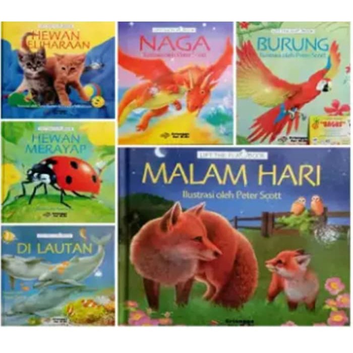 Erlangga for Kids Usborne Book Lift The Flap Buku Berjendela Hardcover boardbook hardbook