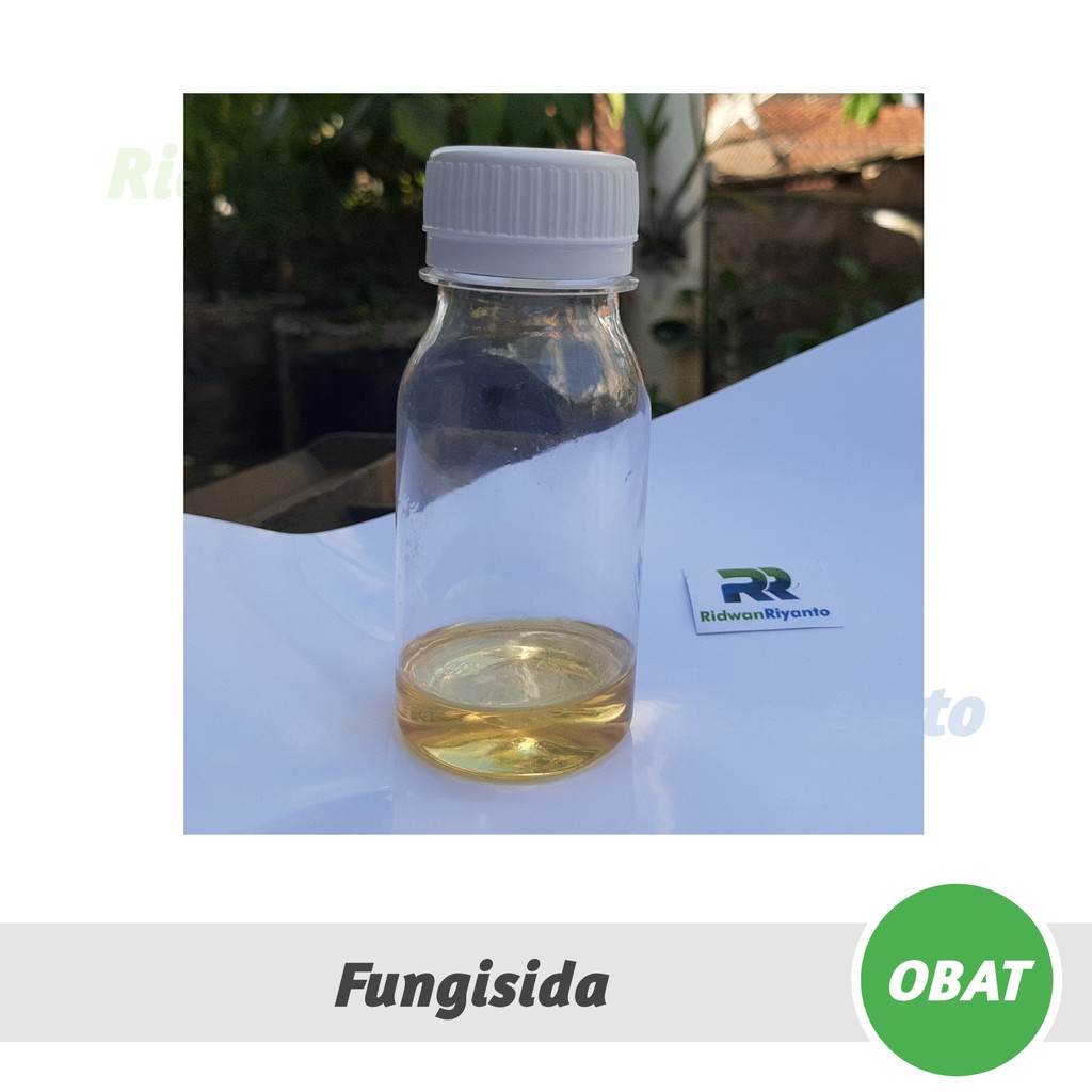 OBAT Khusus Semai Cabai  yaitu ZPT Zat Pengatur Tumbuh dan Fungisida