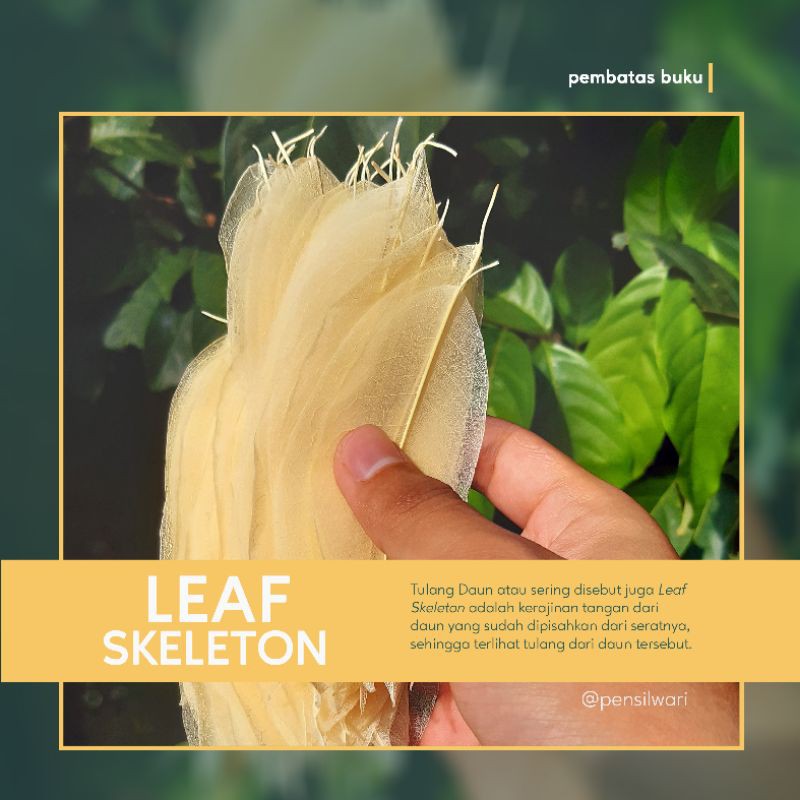 

Pembatas Buku dari Tulang Daun (Leaf Skeleton Bookmark)