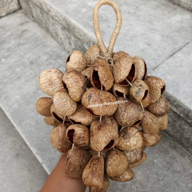 Alat Musik Unik Marakas Kluwak Rencek Efek Suara Air Mengalir