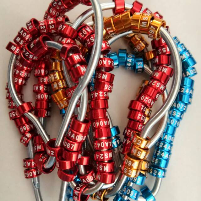 50 Pcs, Ring Pendamping Perkutut (Ring Kandang)