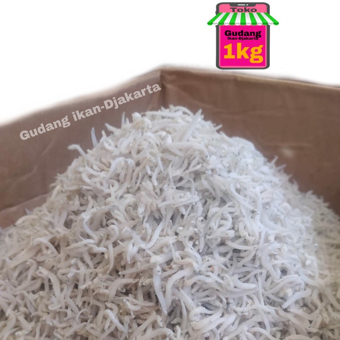 

ikan asin teri nasi medan kecil netto-1kg